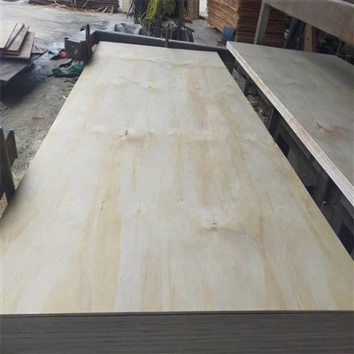 Pine -Sperrholz für die Schalung verwenden - multi - geschichtet